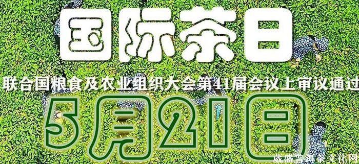 一山一味||同一款茶，兩次品茗？